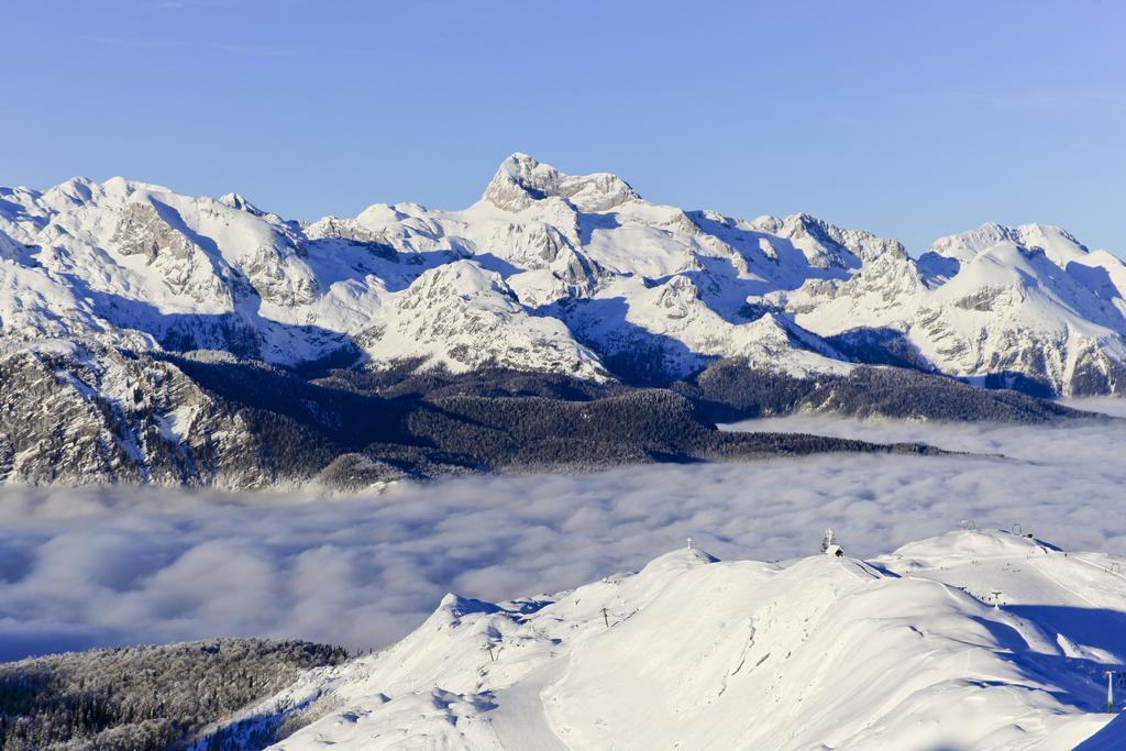 Chalet Hostel Murka Bohinj Ngoại thất bức ảnh